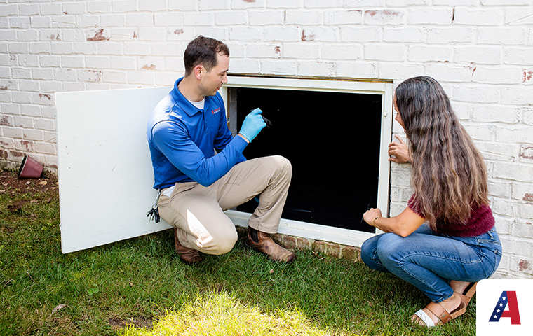 Learn More About Termite Inspections And When You Should Have One pest expert inspecting crawlspace