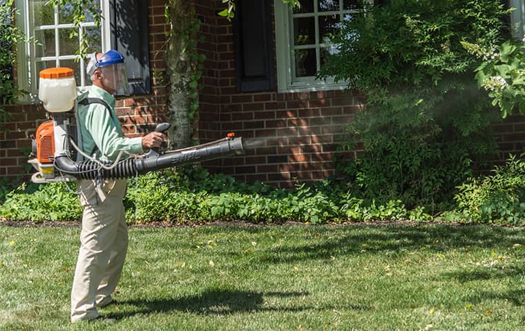 Learn More About Mosquito Control In Franklin TN all american tech providing mosquito control services in franklin tennessee