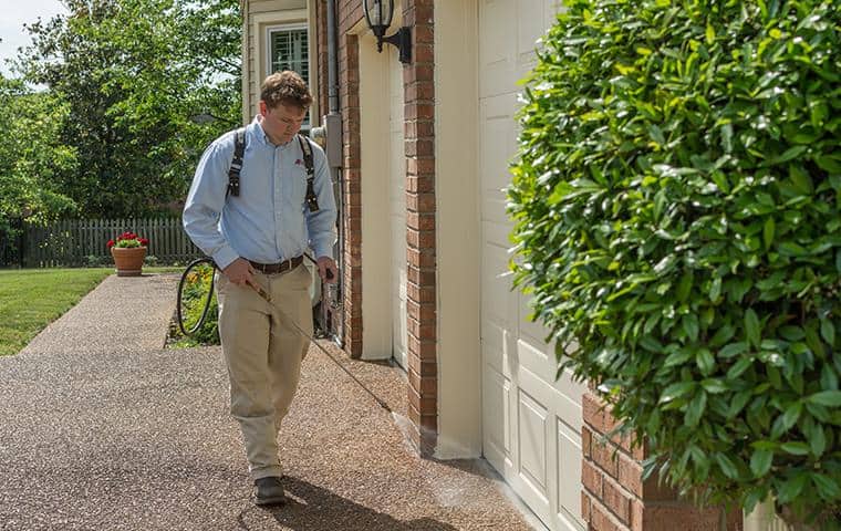 Thorough & Proactive Pest Control Solutions pest control technician treating a brentwood tn home