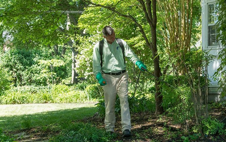 Pest Control Treatments That Get Rid Of Fire Ants & More! all-american termite control specialist treating yard for stinging and biting insects