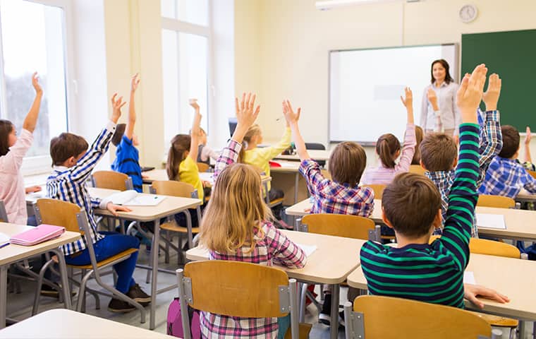 The Presence Of Pests Creates A Health Risk To Kids a classroom full of students in franklin virginia