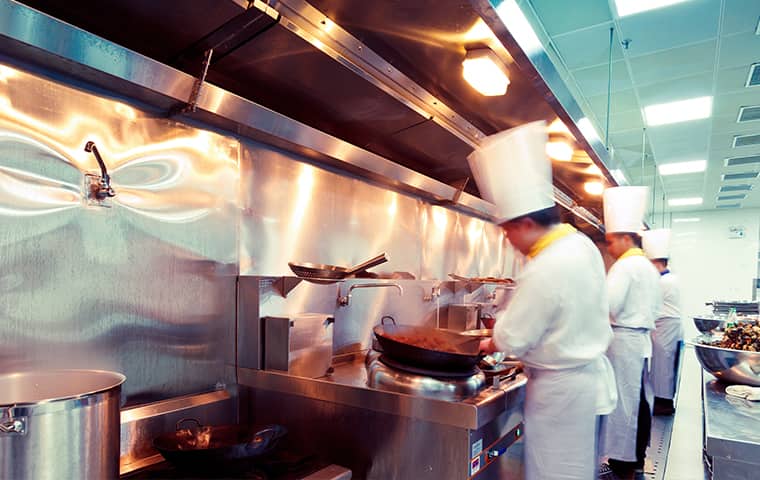 Cockroaches And Other Pests Contaminate Food chefs working in a commercial kitchen inside of a suffolk virginia home