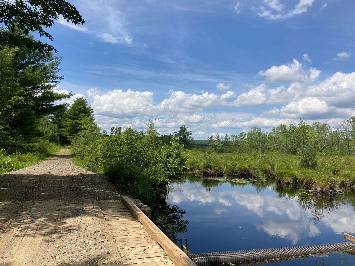 Chamberlain Conservation Area. Photo credit: Monadnock Conservancy