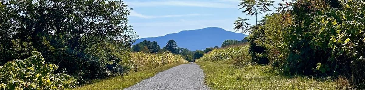 Gravel path with mountain in distance