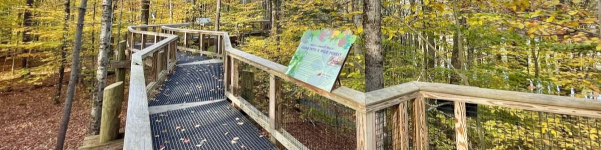 Gravel path with mountain in distance